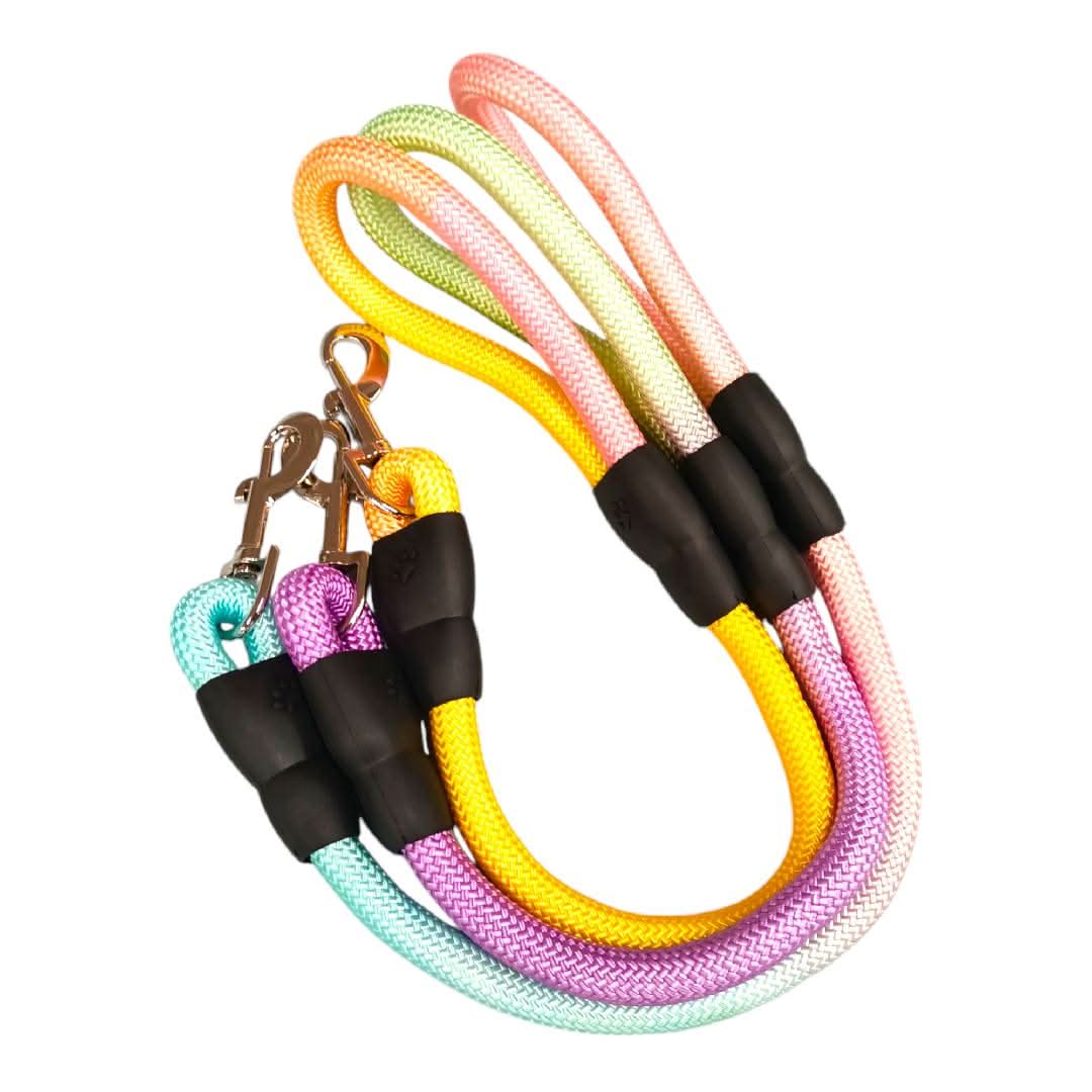 Kit Completo Para Gatos: Collar, Arnés Y Correa Extensible - Ajustables, Cómodos Y Seguros Para Paseos