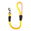 CT3874 1 Pieza De Correa Para Mascota
