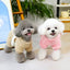 CT3899 1 Pieza De Ropa De Invierno Para Mascota
