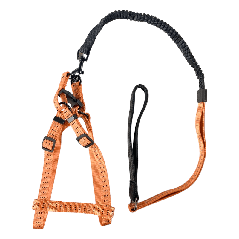 CT3914 1 Pieza De Pechera Con Correa Para Mascotas