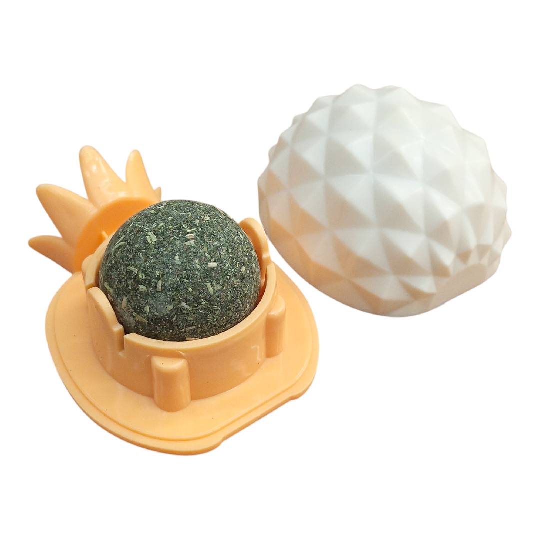 CT3927 1 Pieza De Catnip Para Mascota