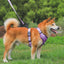 CT3997 1 Pieza De Pechera Para Mascota