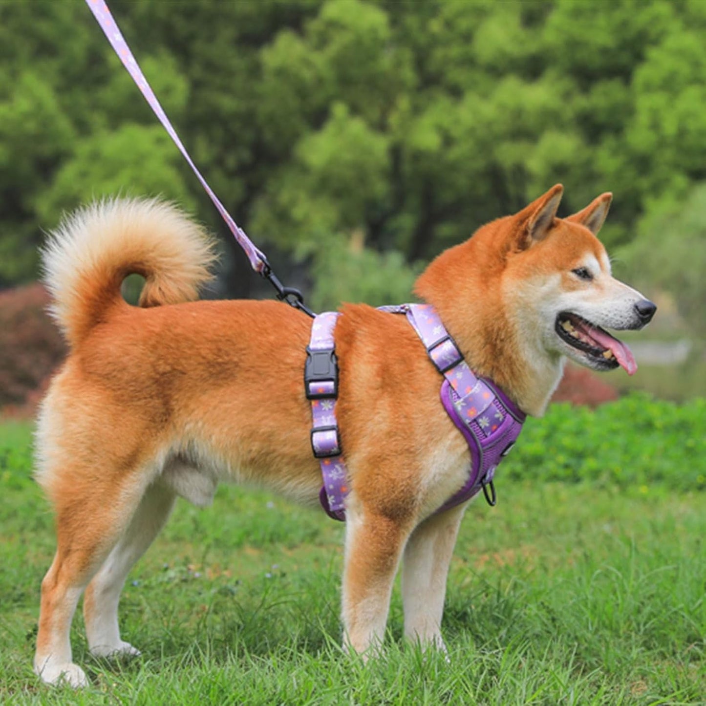 CT3997 1 Pieza De Pechera Para Mascota