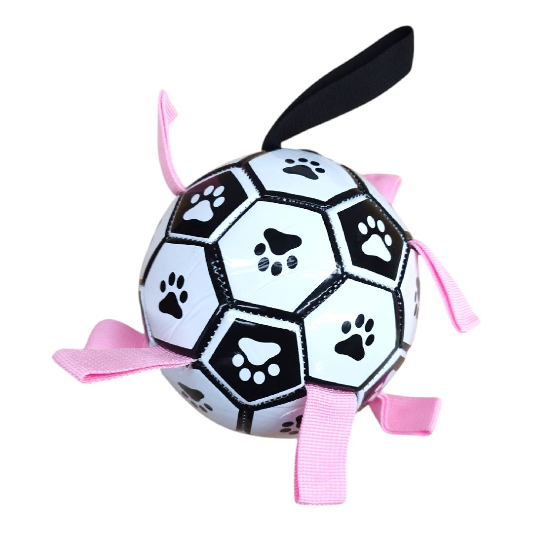 CT4078 1 Pieza De Juguete Balon Para Mascota