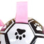 CT4078 1 Pieza De Juguete Balon Para Mascota