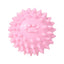 CT4158 1 Pieza De Juguete Pelota Para Mascota