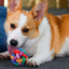 CT4189 1 Pieza De Juguete Pelota Con Cascabel Para Mascota