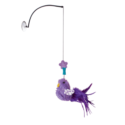 CT4219 1 Pieza Juguete Window Teaser Plumero Para Ventana Para Mascotas