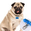 CT4239 1 Pieza De Lampara Para Collar De Luz Led