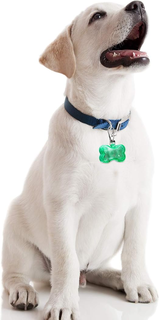 CT4239 1 Pieza De Lampara Para Collar De Luz Led