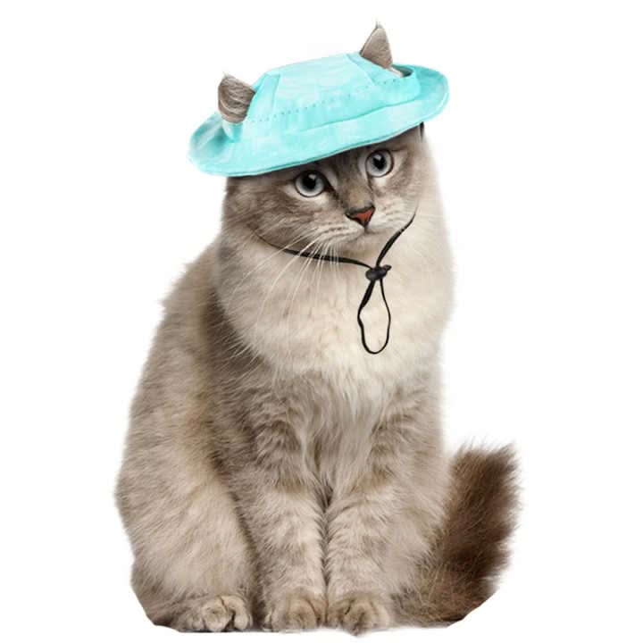 CT4323 1 Pieza De Gorra Para Mascota