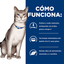 CT4530 1 Pieza De Alimento Cuidado De Riñon Para Gato