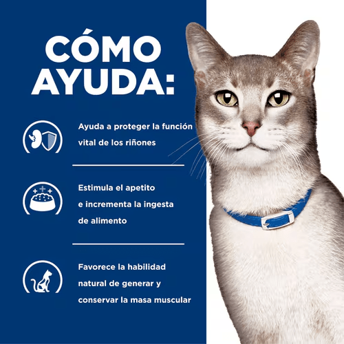 CT4530 1 Pieza De Alimento Cuidado De Riñon Para Gato