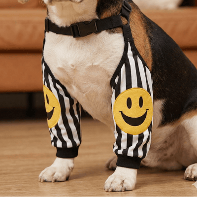 CT4543 1 Pieza De Protector de Codo Para Perro Para Evitar Lesiones