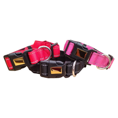 CT4553 1 Pieza De Collar Para Mascota