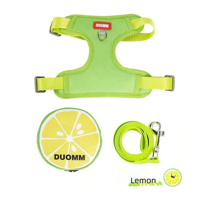 CT4673 1 Pieza De Pechera Con Correa Para Mascota