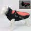 CT4772 1 Pieza De Ropa Para Mascota
