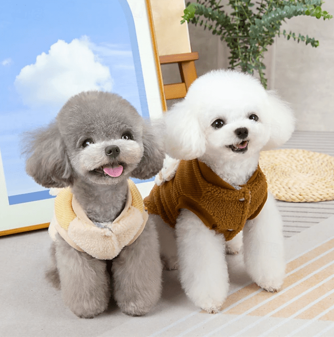 CT4804 1 Pieza De Ropa De Invierno Para Mascota