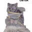 CT4851 1 Pieza De Pechera Con Correa Para Mascota