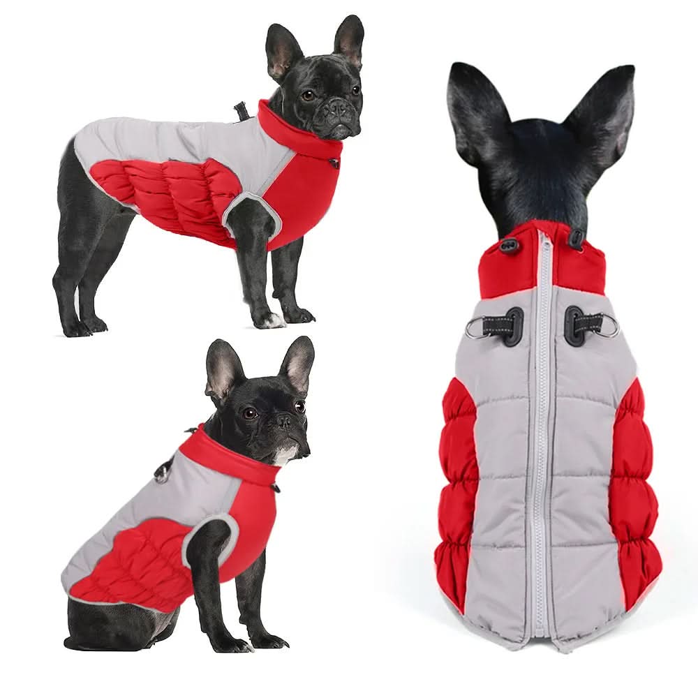 CT4857 1 Pieza De Ropa De Invierno Para Mascota