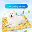 CT5061 1 Pieza de Cama/Tapete Refrescante Para Mascota