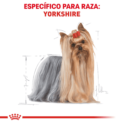 CT5141 1 Pieza De Alimento Para Yorkshire Terrier Adulto
