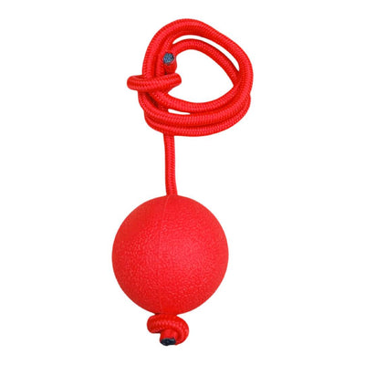 CT5154 1 Pieza De Juguete Pelota De Goma Para Mascotas Con Lanzador