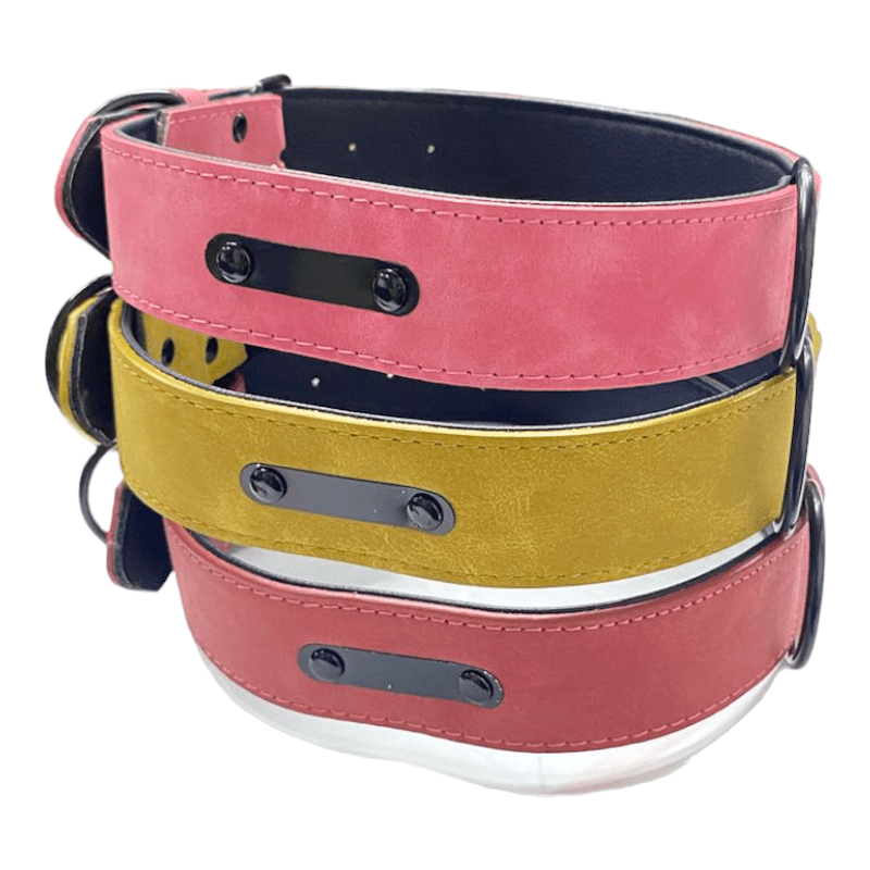 CT5208 1 Pieza De Collar Para Mascota