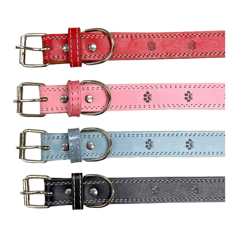 CT5595 1 Pieza De Collar Para Mascota