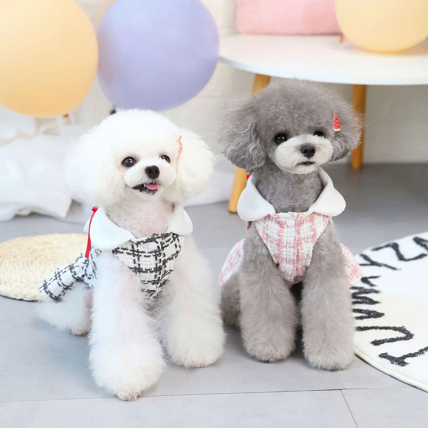 CT5702 1 Pieza De Ropa Para Mascota Con Diseño