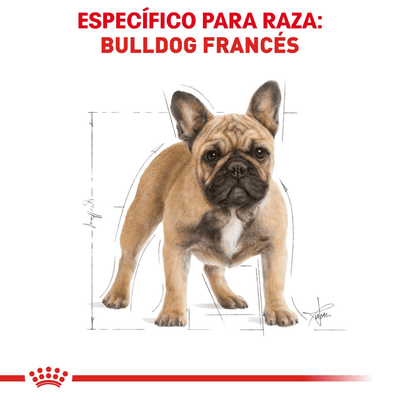 CT5787 1 Pieza De Alimento Para Bulldog Frances Adulto