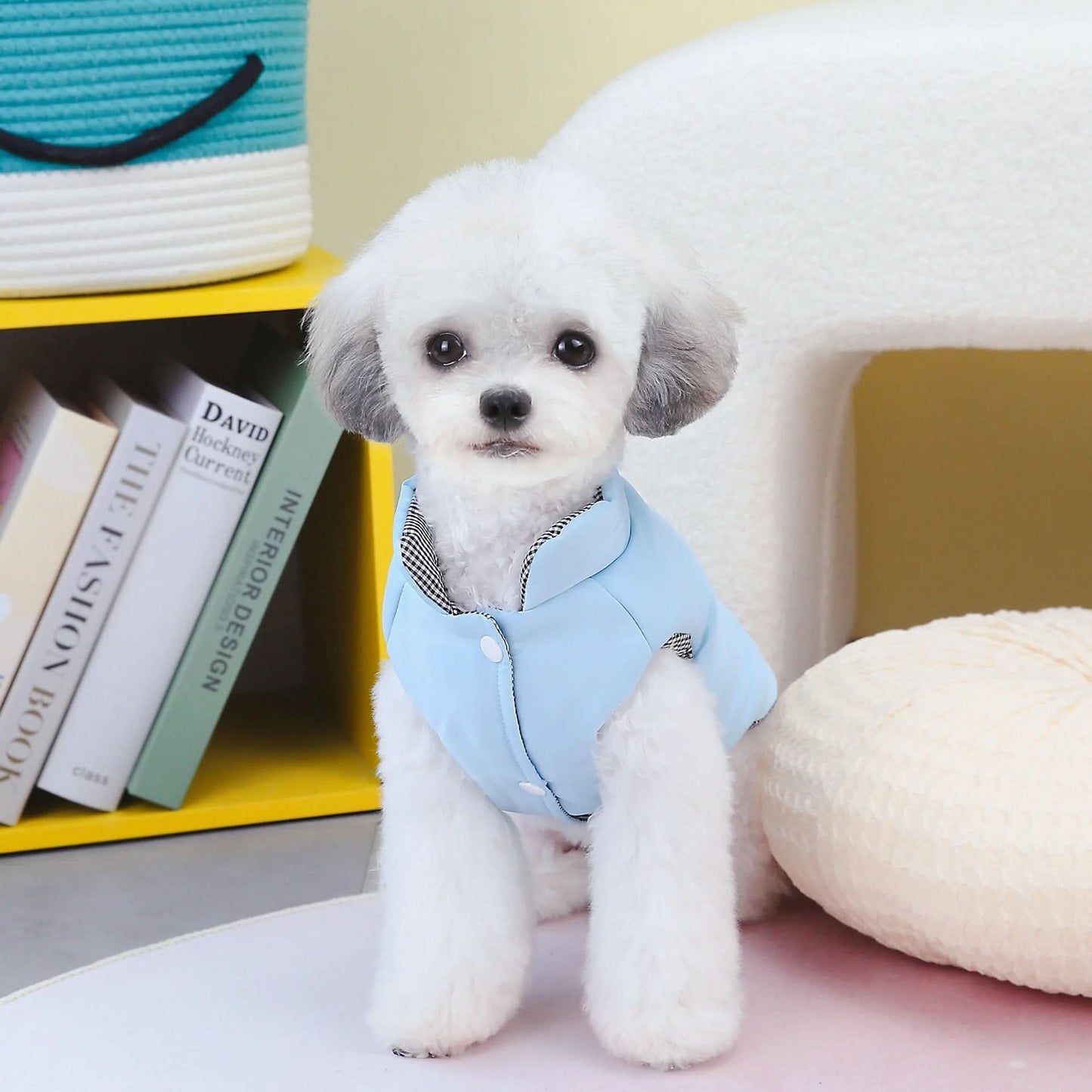 CT5856 1 Pieza De Ropa De Invierno Para Mascota