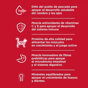 CT6000 1 Pieza De Alimento Hidago y Pollo Para Gatito