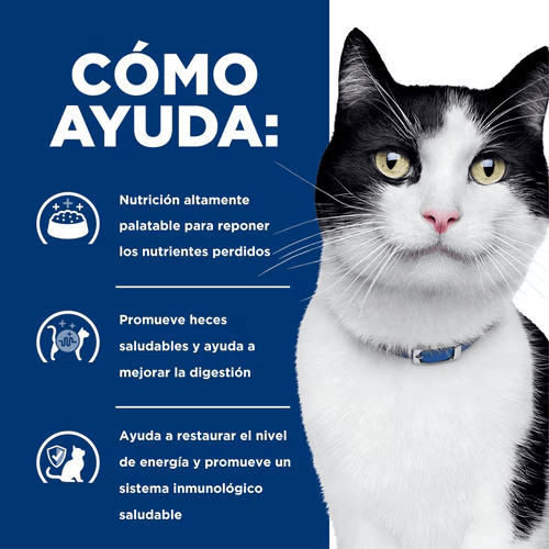 CT6280 1 Pieza De Cuidado Digestivo De Pollo Para Gato