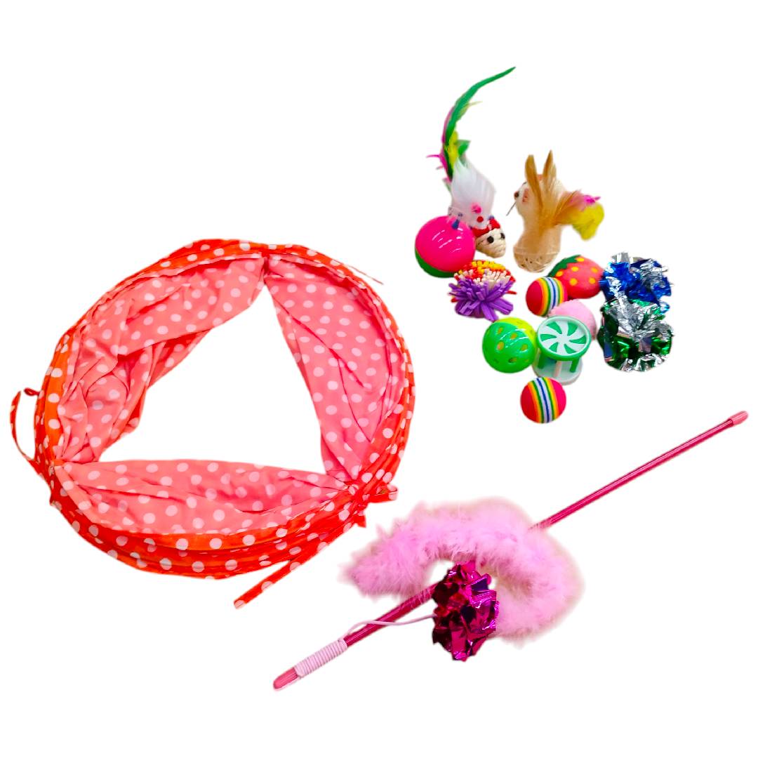 CT6626 1 Set De Tunel Con Juguetes Para Mascota
