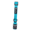 CT6732 1 Pieza De Collar Para Mascota
