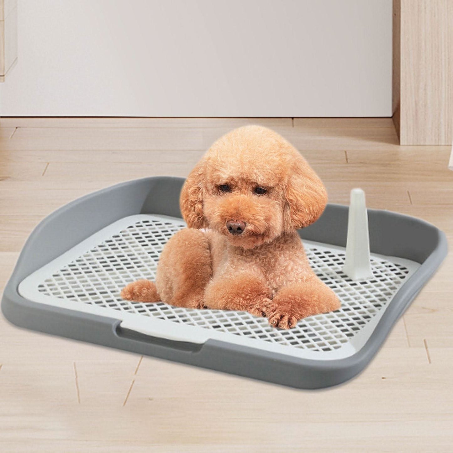 CT6905 1 Pieza De Tapete Entrenador Para Mascota