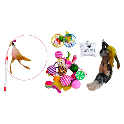 CT7432 1 Set De 20 Juguetes Para Mascota