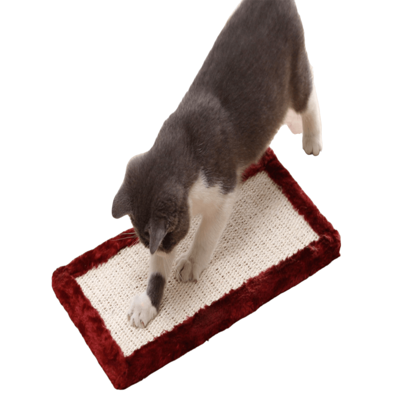 CT7516 1 Pieza De Rascador Para Mascota