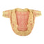 CT7926 1 Pieza De Ropa Para Mascota
