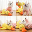 CT7996 1 Pieza De Juguete Para Mascota