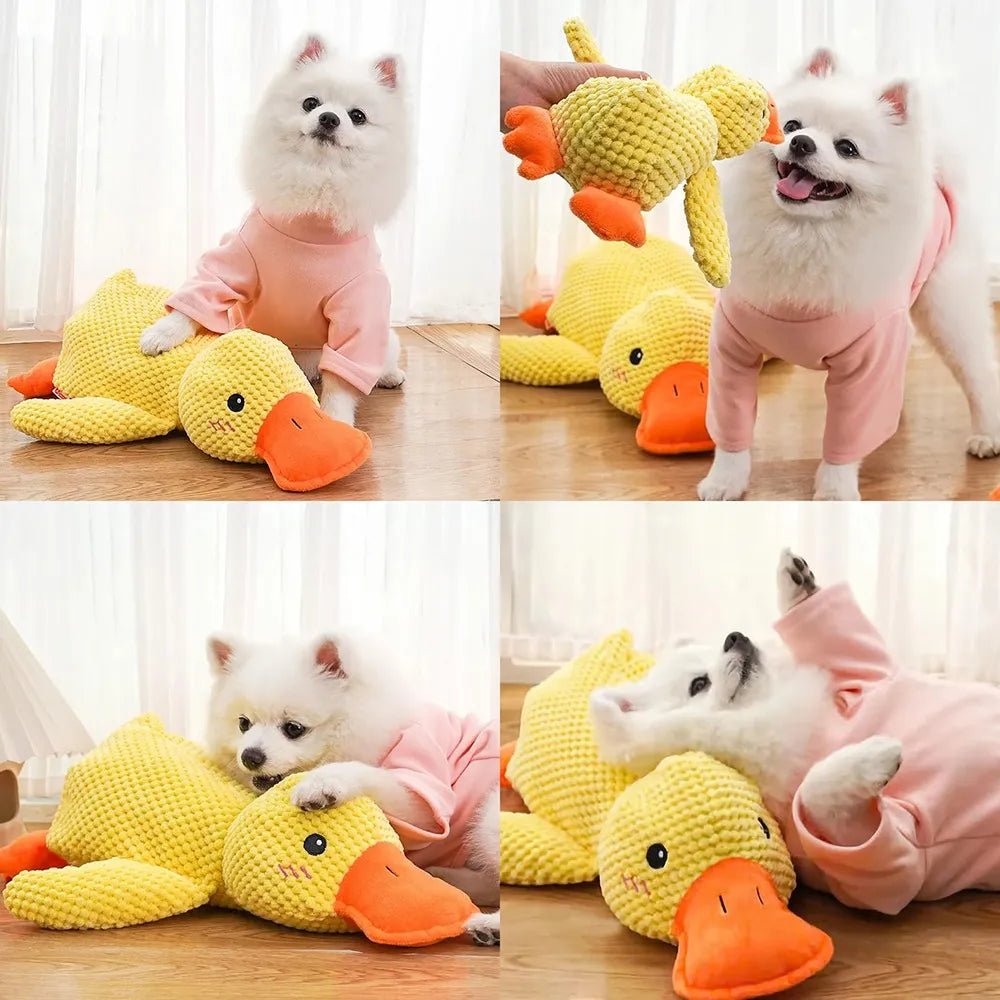 CT7996 1 Pieza De Juguete Para Mascota