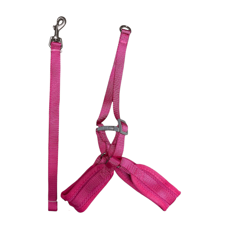 CT8200 1 Pieza De Pechera Con Correa Para Mascota