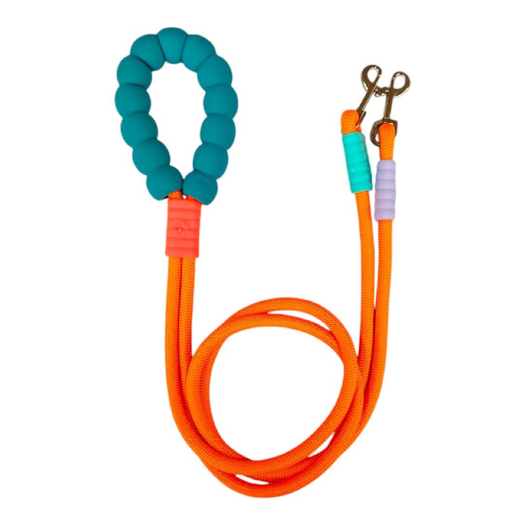 CT8312 1 Pieza De Correa Doble Para Mascota