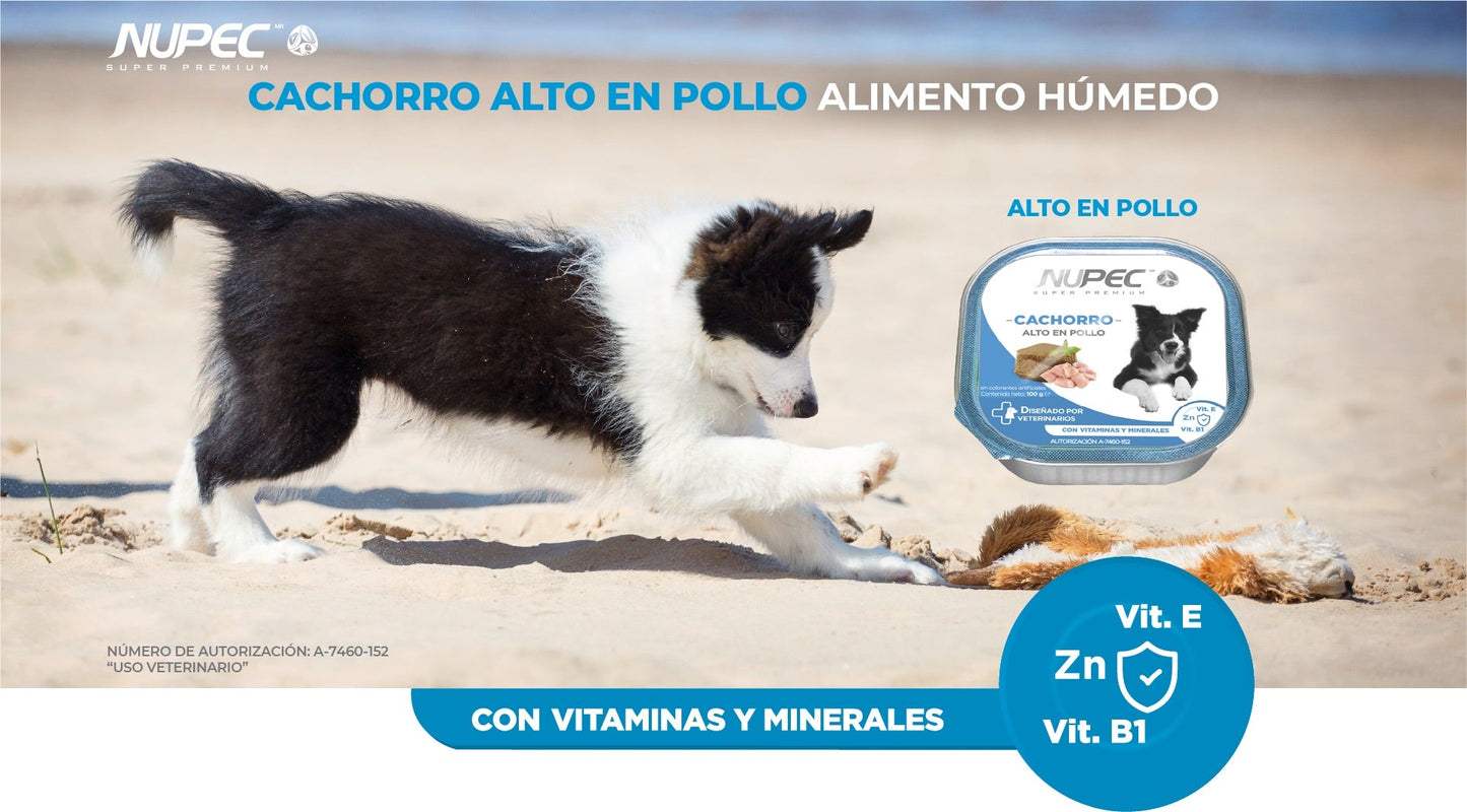 CT8432 1 Pieza De Alimento Humedo Para Cachorro Alto En Pollo