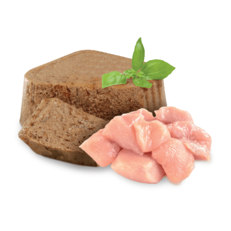 CT8433 1 Pieza De Alimento Humedo Digestive De Pescado