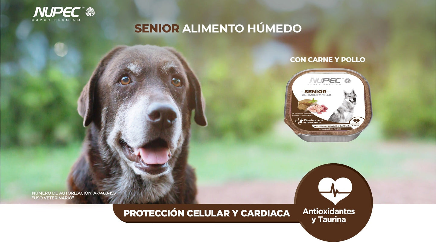 CT8435 1 Pieza De Alimento Humedo Senior Carne y Pollo
