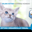 CT8437 1 Pieza De Alimento Humedo Felino Kitten Con Carne y Pollo