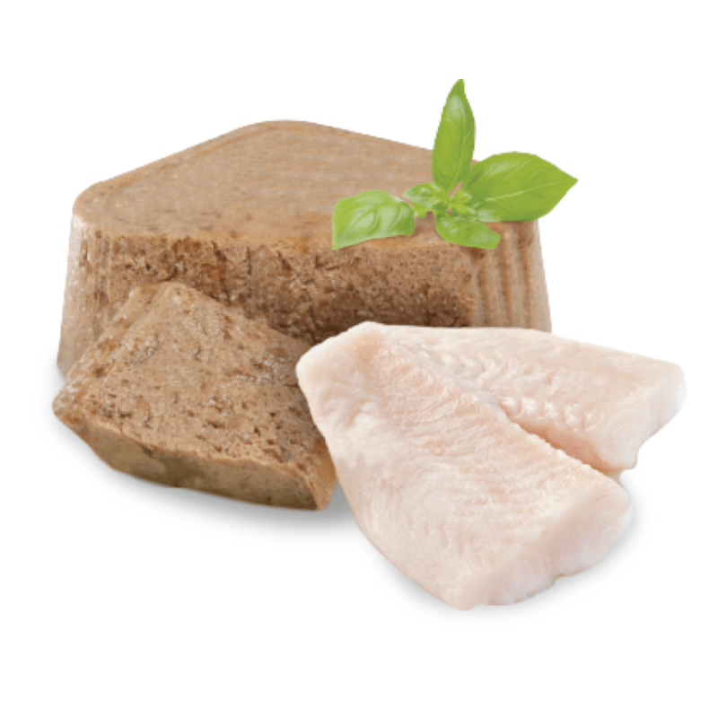 CT8438 1 Pieza De Alimento Humedo Con Pescado