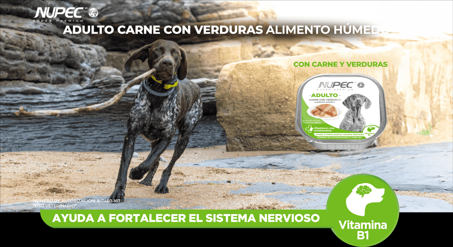 CT8441 1 Pieza De Alimento Humedo Adulto De Carne Con Verduras